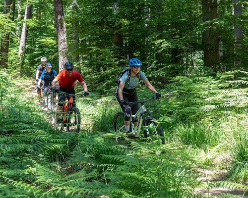 Fahrsicherheitstraining mit dem eBike 14.05.2022 - Jetzt anmelden